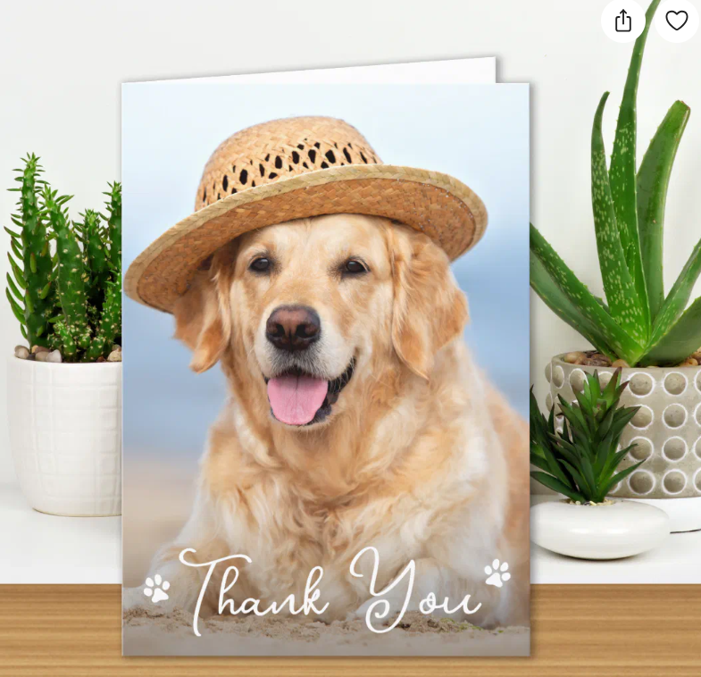 Folded thank-you card showing a golden retriever in a straw sun hat on a beach with white script reading Thank You between two paw prints
